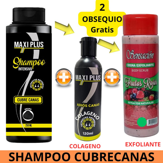 Shampoo Cubre Canas - Cobertura Instantánea y Natural para Tu Cabello